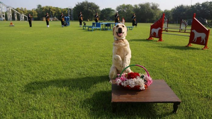 A Labrador named Kura offers a bunch of flowers as a salute | Photo: Manisha Mondal | ThePrint