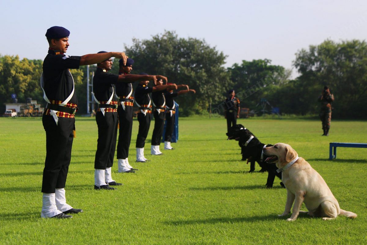 Labradors with their handlers | Photo: Manisha Mondal | ThePrint