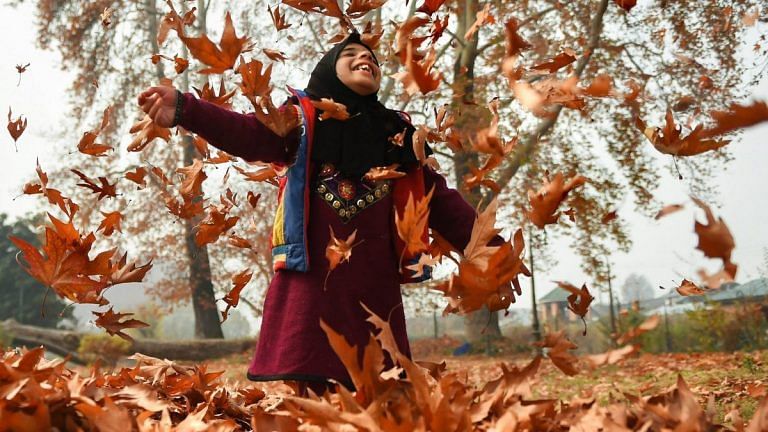 What is ‘false autumn’? Scientists explain nature’s survival mode