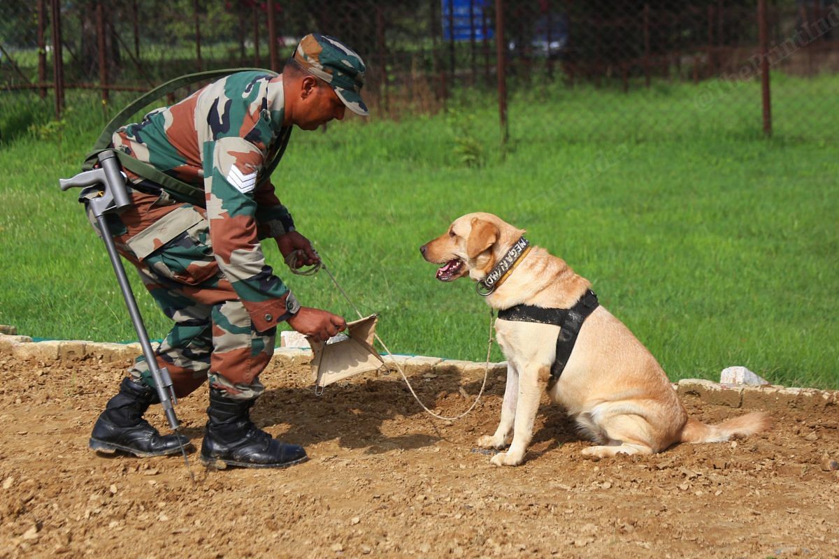 A Labrador sniffs a mining field | Photo: Manisha Mondal | ThePrint