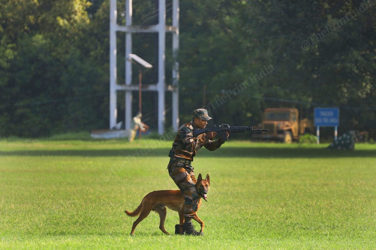 Belgian Malinois are known for its agility and aggression | Photo: Manisha Mondal | ThePrint 