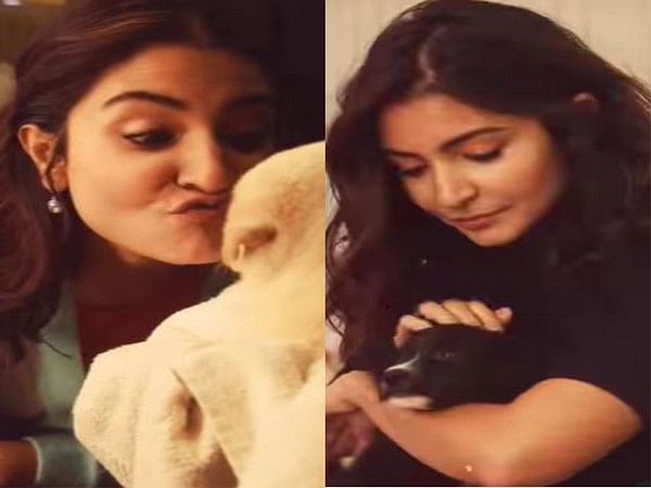 Anushka Sharma feels 'pupped-up' in her latest post