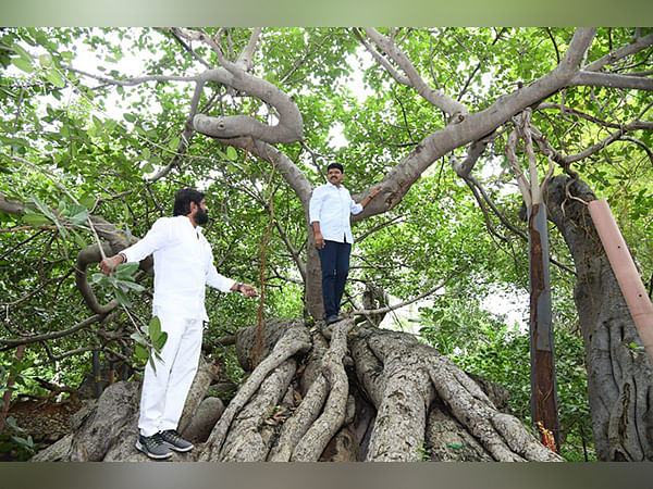 Telangana: Mahabubnagar's 800-year old banyan tree gets new life as parliamentarian announces Rs 2 cr for preservation