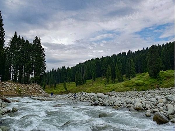 Doodhpatri: A new travel destination in Kashmir