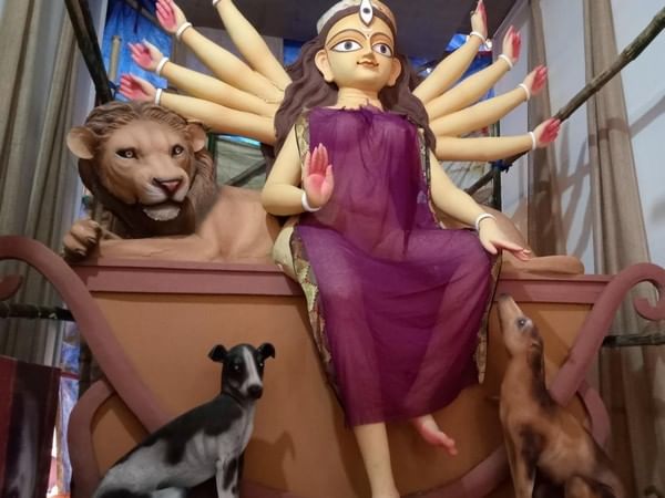 'Pet-friendly' themed Durga Puja organised by North Kolkata's Bidhan Sarani Atlas Club 'Pet-friendly' themed Durga Puja organised by North Kolkata's Bidhan Sarani Atlas Club