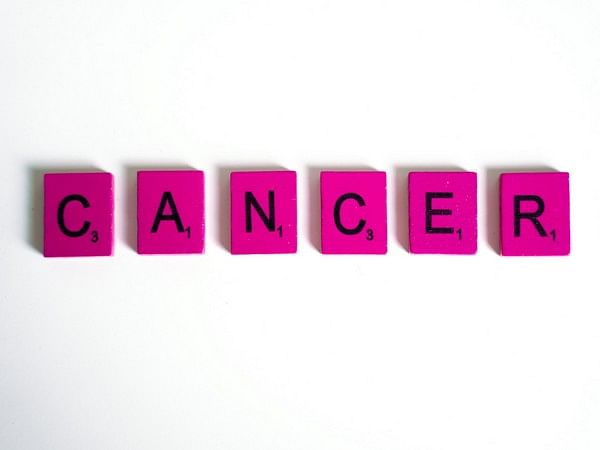 Pancreatic cancer linked to obesity may be fueled by stress granules