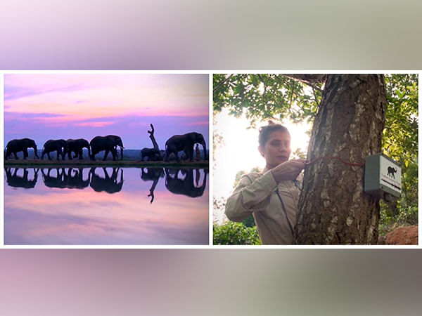 This computer engineer-turned-conservation scientist is using sound to mitigate human-elephant conflict in India