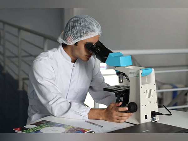 Fossil algae dating back 541 million years offer new insights into the plant kingdom's roots