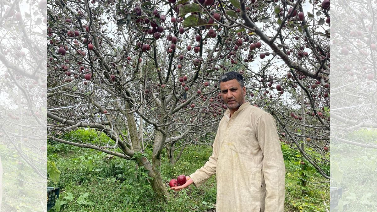 Apple farmer Sohan Lal Thakur in Himachal Pradesh's Theog constituency | Credit: Shanker Arnimesh, ThePrint