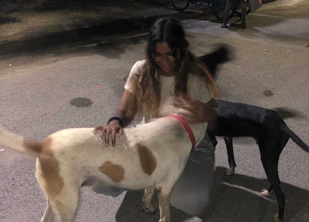 Saniya Verma has been feeding dogs in her area for over 2 years | Saniya Verma