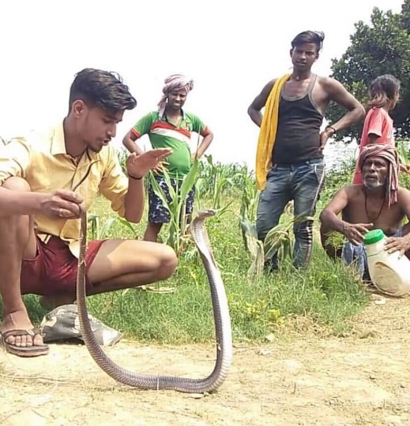 Whenever Hariom rescues a snake people gather around, for them It's also a source of entertainment | By special arrangement