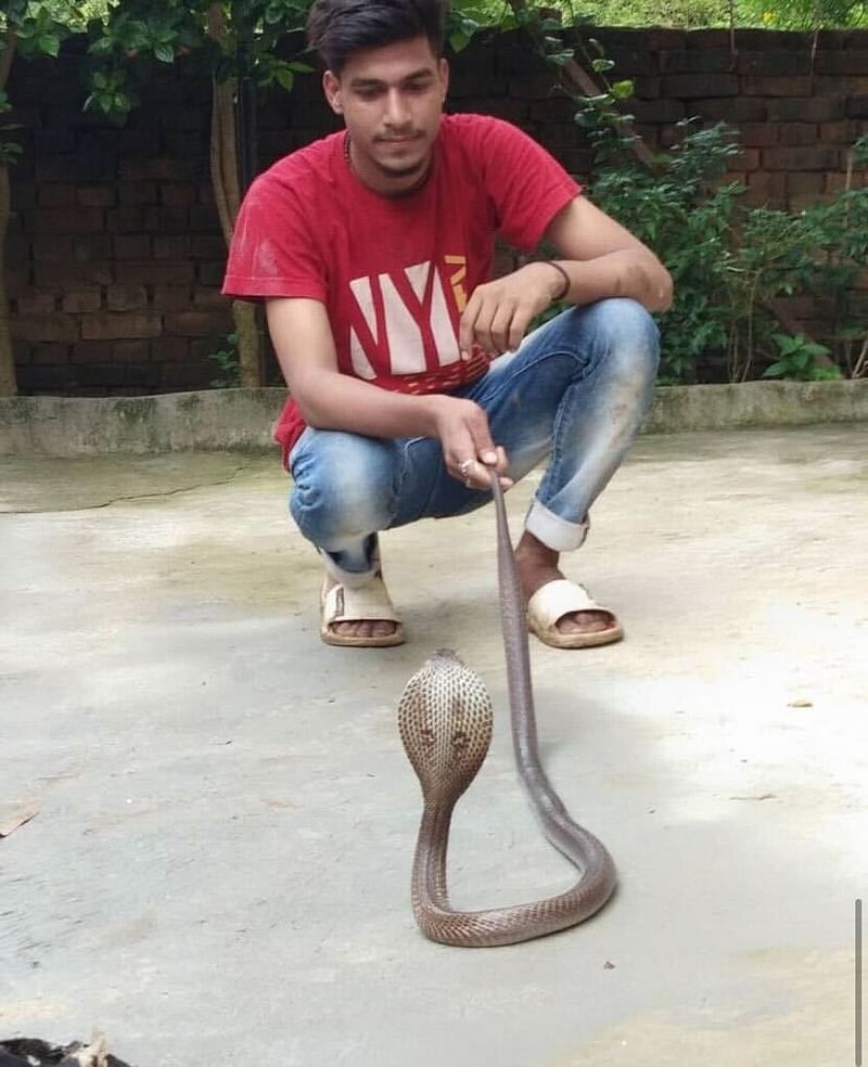 Hariom wants to be known as India's snake men, He wants to study about them as well | By special arrangement