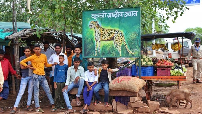 Villagers living near Kuno are anxious but excited about the arrival of the cheetahs | Manisha Mondal | ThePrint