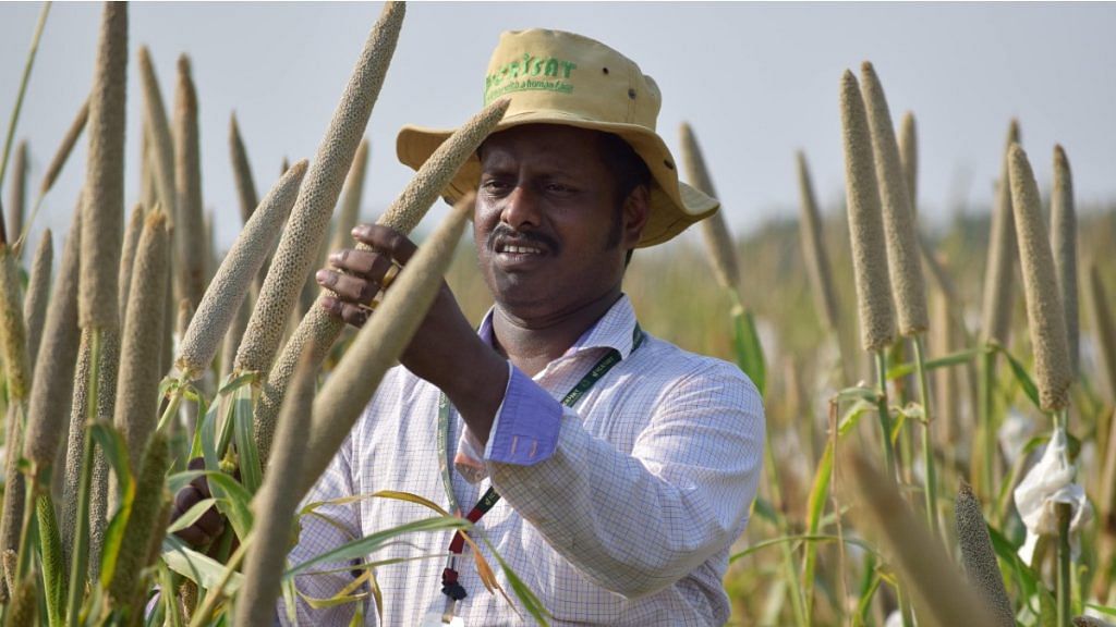 Agricuture scientist Mahalingam Govindaraj during a field work | Credit: World Food Prize Foundation