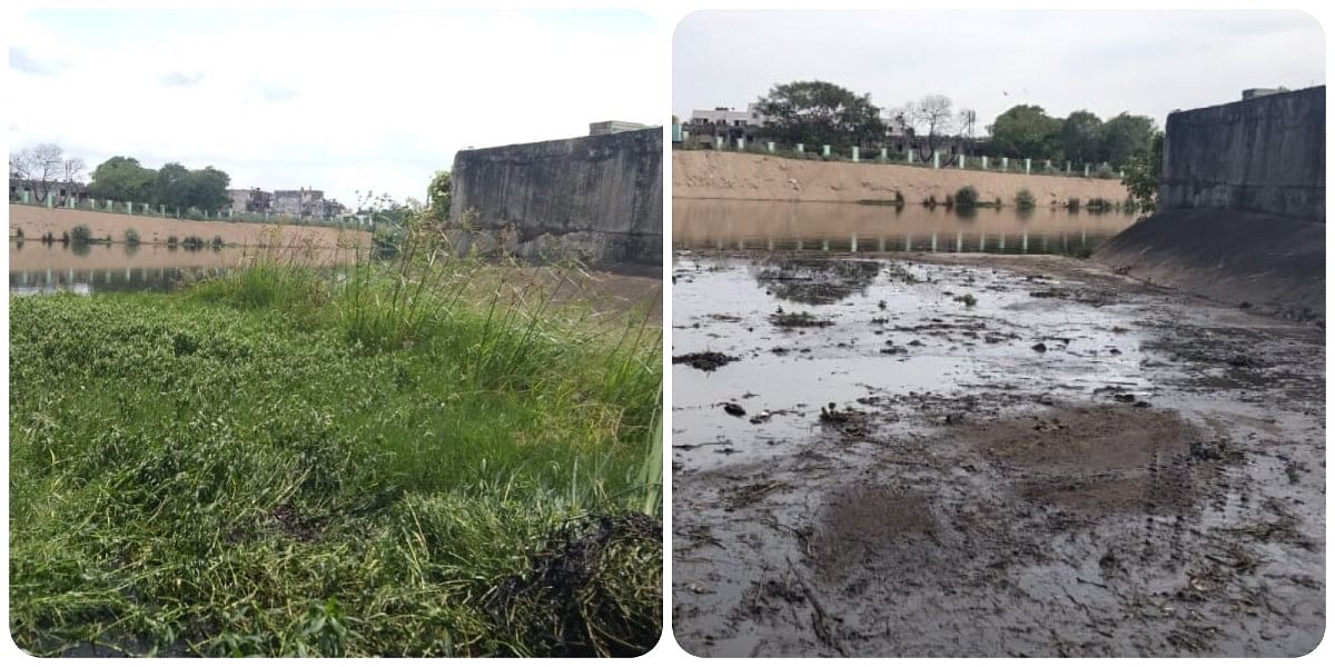 A section of Nandanam canal before desilting (L) and after desilting (R) | By special arrangement
