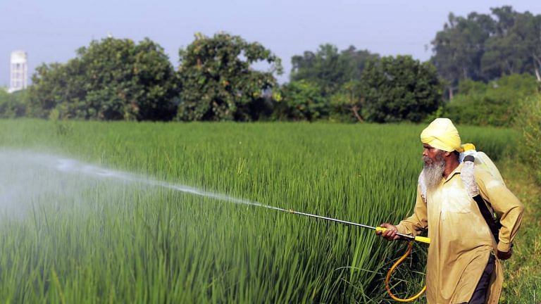 SubscriberWrites: ‘Super’ grains can be smart choice for both consumers and farmers