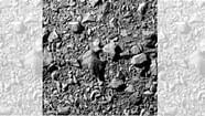 NASA s DART Mission Successfully Knocks Asteroid Off Course Earth Can 