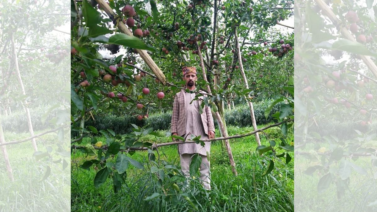 Kishan Verma, an apple farmer in Sarog village, Shimla | Credit: Shanker Arnimesh, ThePrint