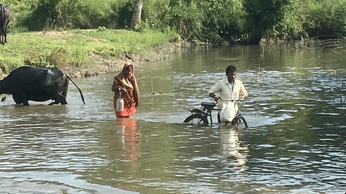 Villagers forced to wade through a channel flowing by the Usarhawa village of Sohagi Barwa Sanctuary area in Maharajganj district. The only wooden bridge that linked the village with the Maharajganj city collapsed last year during rainfall| Shikha Salaria