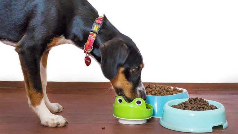 Raw meat for your pets can be good for their health — but only if you do it well