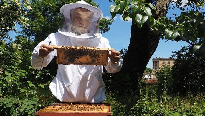 A file picture of the Royal Beekeeper looking after the bees | Twitter | @RoyalFamily