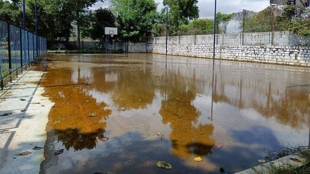Stagnant water at Rainbow Drive Layout, Bengaluru | Credit: Sowmiya Ashok, ThePrint