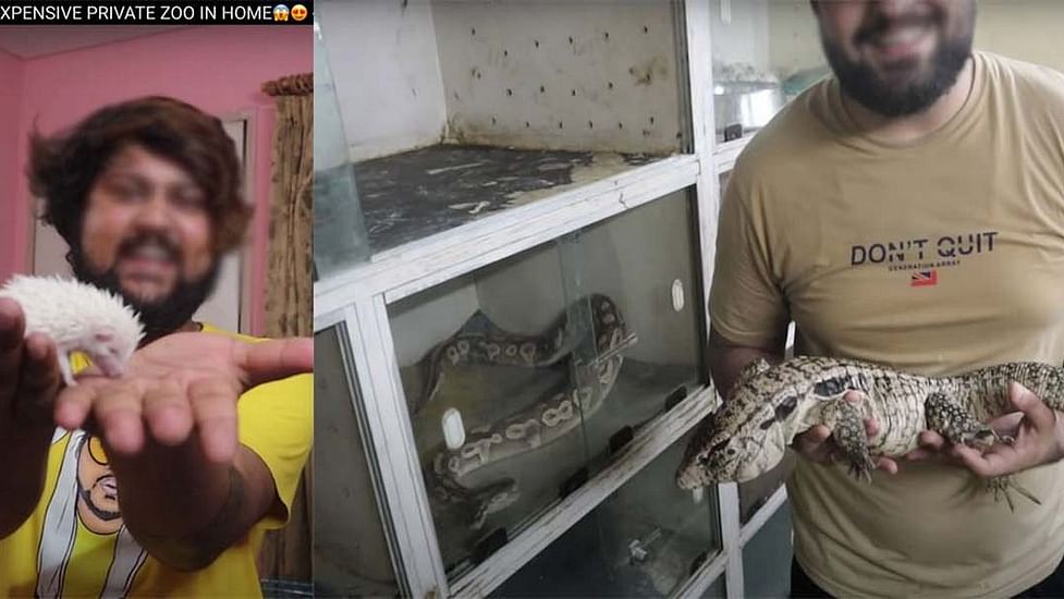 Roofed turtles, iguanas, ball pythons as pets is bringing Indians false sense of glamour Roofed turtles, iguanas, ball pythons as pets is bringing Indians false sense of glamour