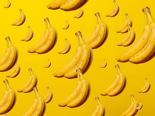 Researchers find domestication history of bananas that reveals mystery ancestors