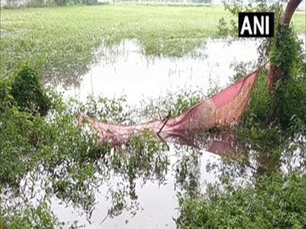 Farmers upset after crops sustain damage due to excessive rains in UP's Aligarh