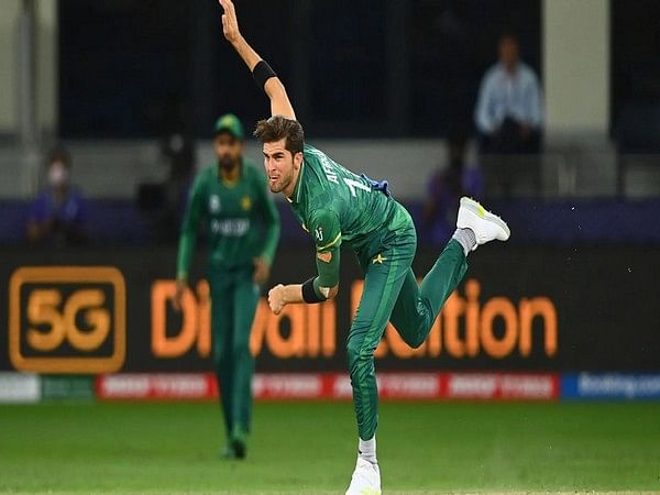 Shaheen Afridi is fully fit, dedicated to give his 100 percent: Babar Azam on star pacer's fitness