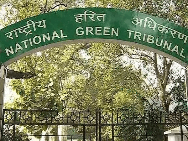 Green tribunal seeks action-taken report from UP on discharge of untreated sewage in Yamuna at Mathura