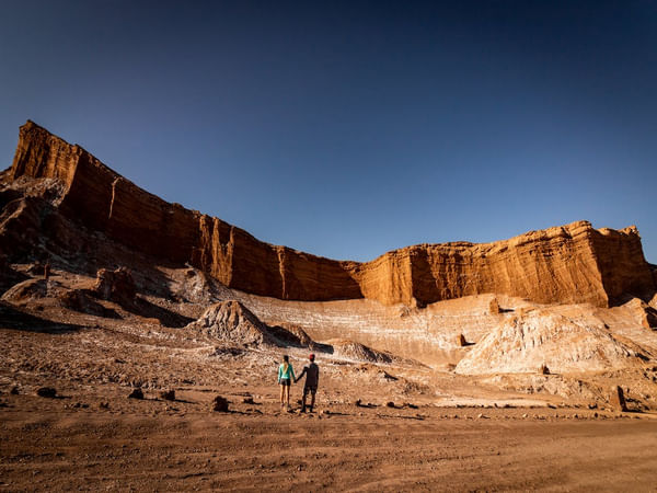 World's driest desert has spectacular blooms, but the secret is invisible to human eyes