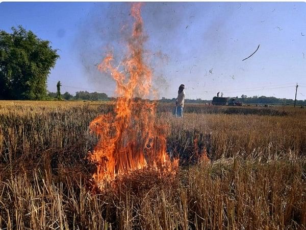 Increased stubble burning in Punjab becomes serious environmental concern in Delhi, NCR