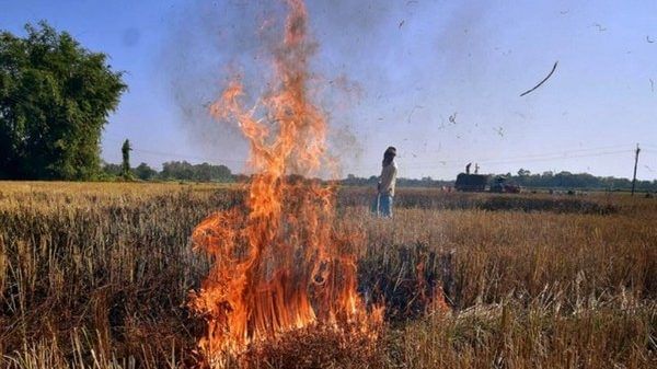 No let up in Punjab farm fires as Delhi chokes