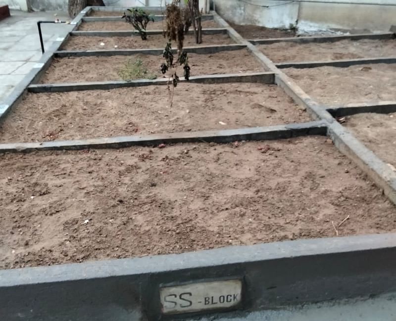 Division of burial spaces at Bada Kabrastan | Nazia Sayed | ThePrint