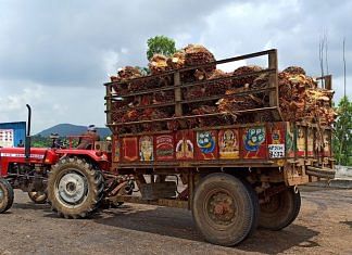 A farmer prepares to unload oil palm bunches from a tractor trolley in a mill at Dwaraka Tirumala in the southern state of Andhra Pradesh | Reuters file photo