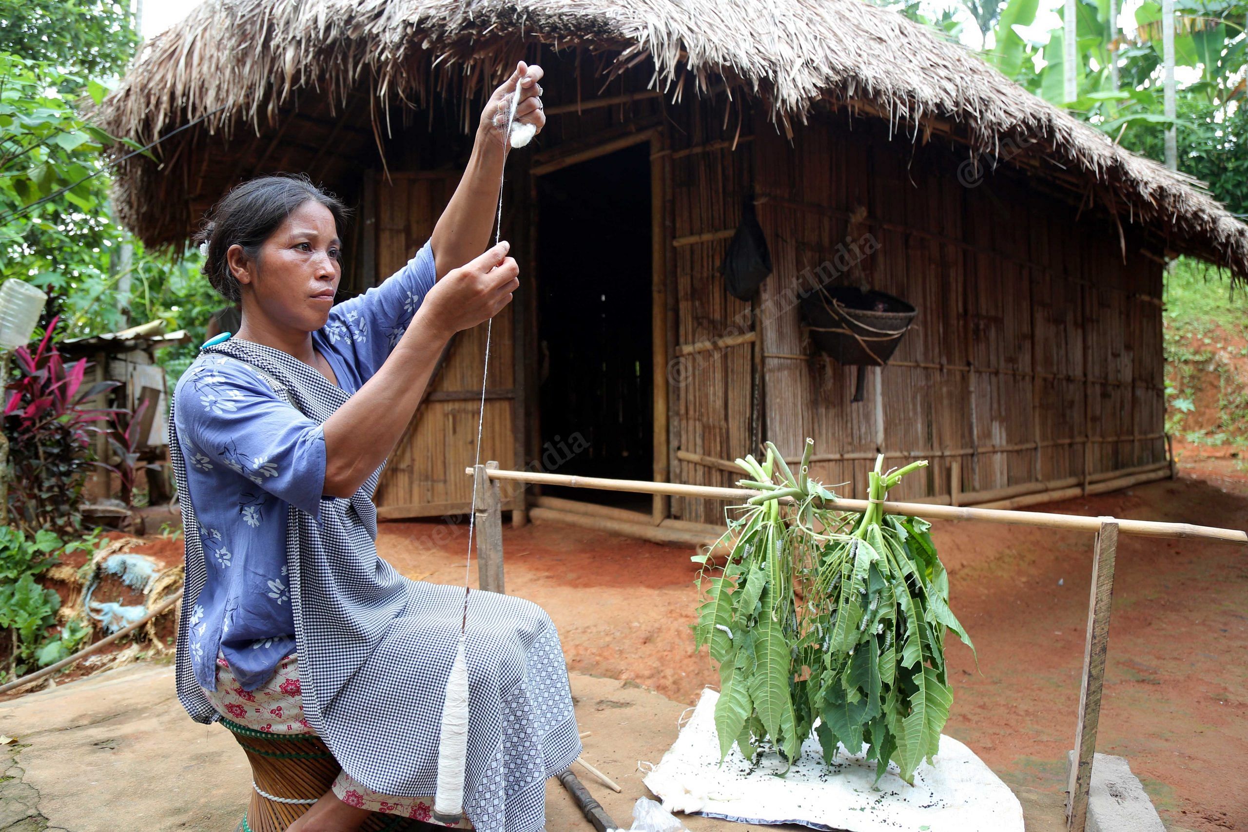 Castor leaves are hung between poles for silkworms to feed | Suraj Singh Bisht/ThePrint