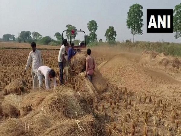 Farmers in Haryana adopting alternative means of managing farm residue to prevent stubble burning