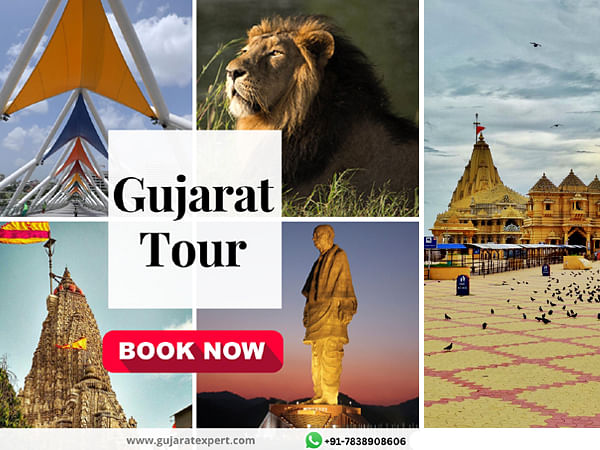 Gujarat Expert launches premium tour package of the season