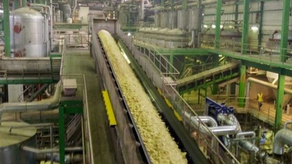 I’ve changed my mind on ethanol blending. It’s a win India can’t afford to slow down