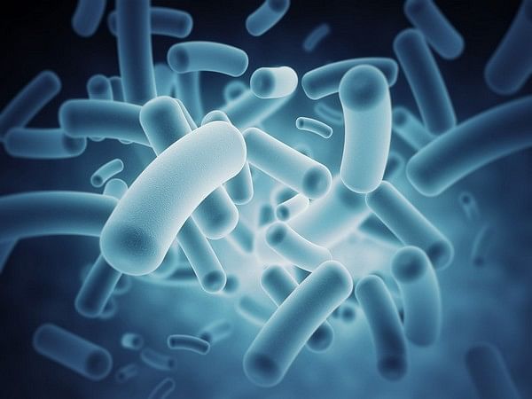 Antimicrobial therapy can prevent sepsis in pneumonia patients