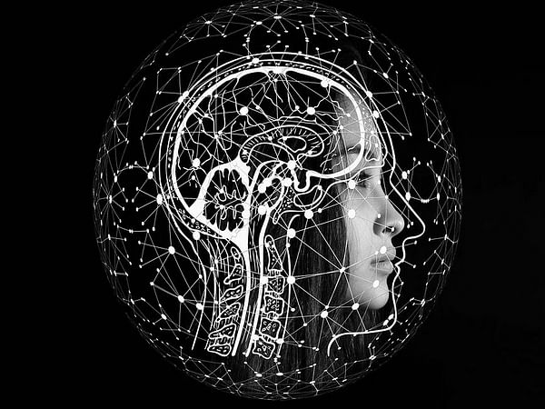 Research suggests multilevel brain atlases are helpful in better diagnosis