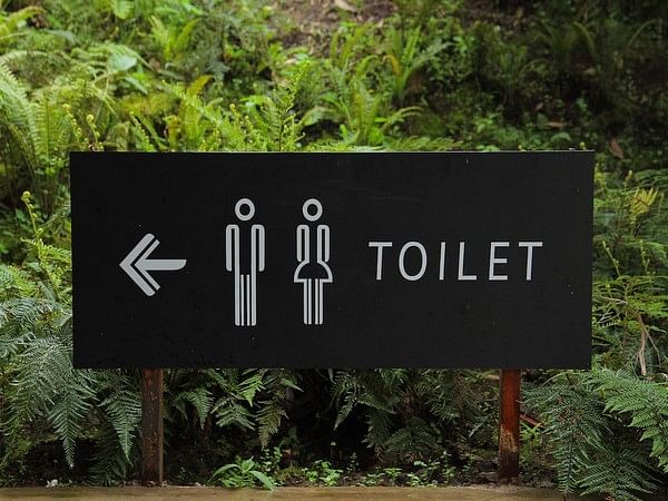 World Toilet Day 2022: All you need to know about this day!