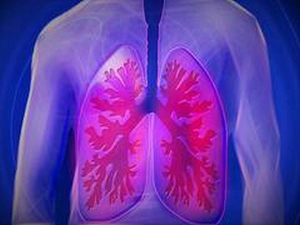 New AI blood test technology to detect liver cancer