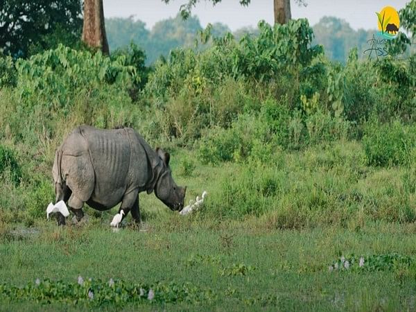 With sustainability in focus, Assam launches new tourism policy