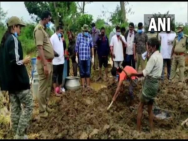 Tamil Nadu: Forest officers arrest farmer for burying baby elephant died due to electrocution