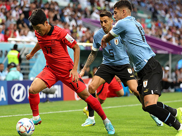 South Korea football team: FIFA World Cup 2022: South Korea takes breather  Sunday ahead of Uruguay faceoff on Thursday - The Economic Times