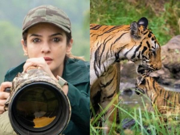 Tiger video row: Didn't flout guidelines, tweets Raveena Tandon; Forest official seeks report, puts onus on guides