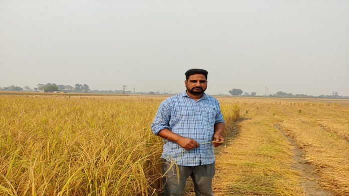 Harpreet Kaleka, a farmer in Punjab's Sangrur, in his rice field. | Disha Verma| ThePrint