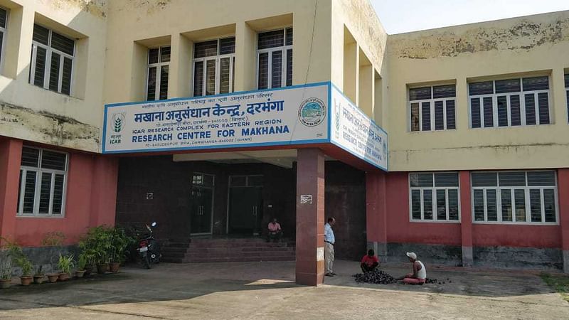 Makhana Research Centre, Darbhanga | Photo: Krishan Murari | The Print